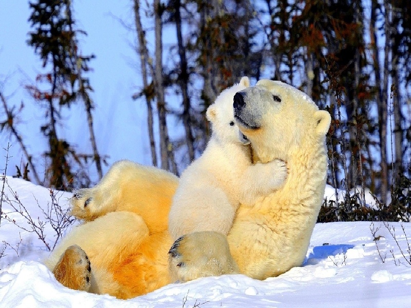 试管中液体怎么拍照试管咋算时间试管繁牛技术